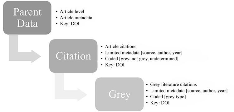 Flowchart of data extraction and coding process
